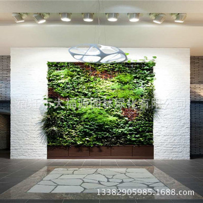 专业设计安装植物墙立体绿化室内 室外景观工程 墙体绿化净化空气